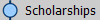 Scholarships